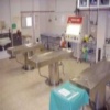 autopsy